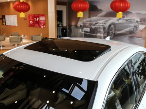 2020款300h 臻享版 车顶