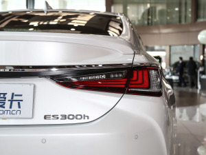 2020款300h 臻享版 尾灯