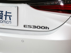 2020款300h 臻享版 细节外观