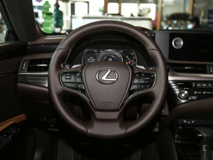 2020款300h 臻享版 方向盘