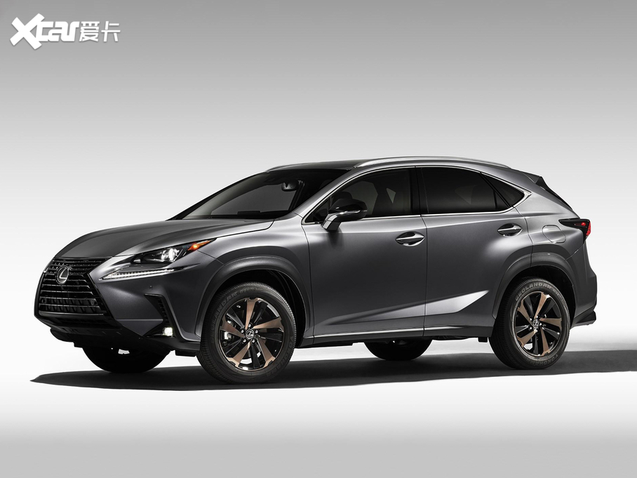 2020׿˹NX 300 Black Line Special Edition