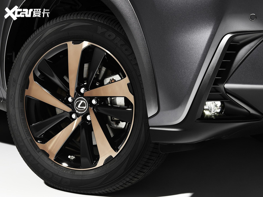 2020׿_˹NX 300 Black Line Special Edition