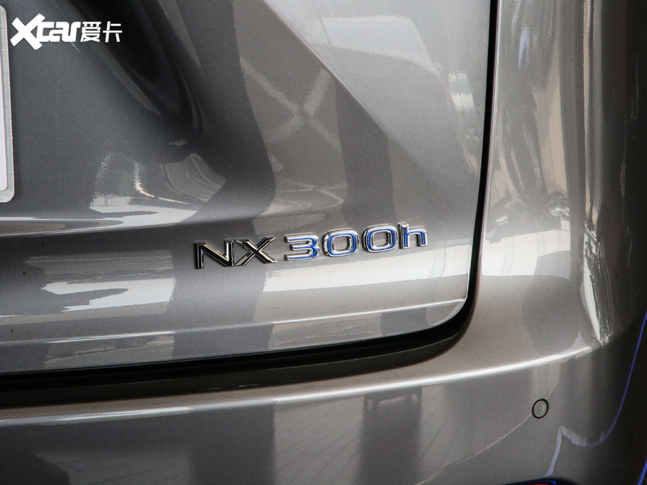 2020���׿��_˹NX 300h �h�а� ǰ�(q��) ��VI
