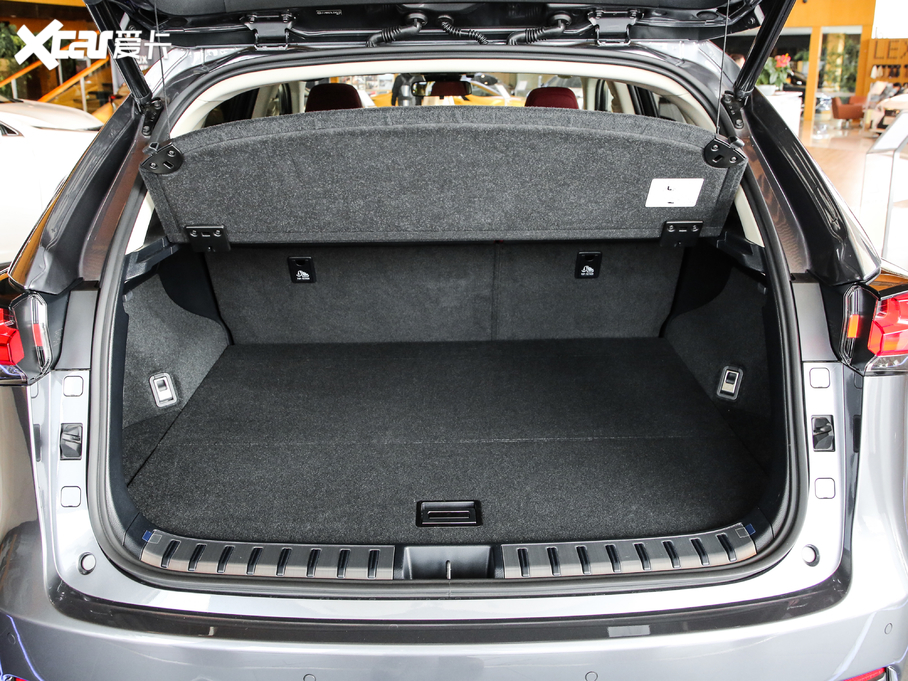 2020׿_˹NX 300h hа ǰ VI