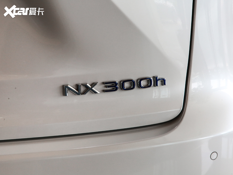 2020׿_˹NX 300h hа ǰ VI