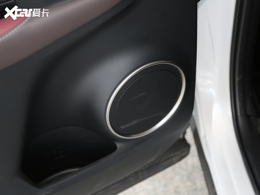 2020׿_˹NX 300h h° ȫ VI