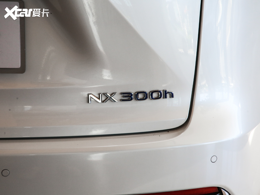 2020׿_˹NX 300h hа ǰ V