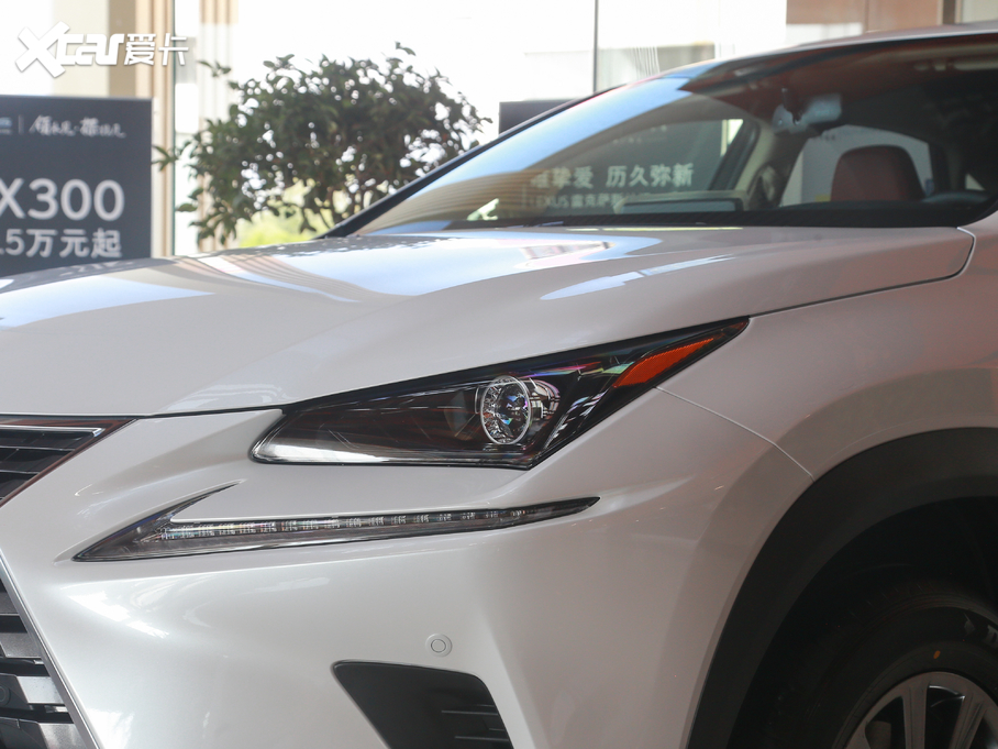 2020׿_˹NX 200 hݰ ǰ VI