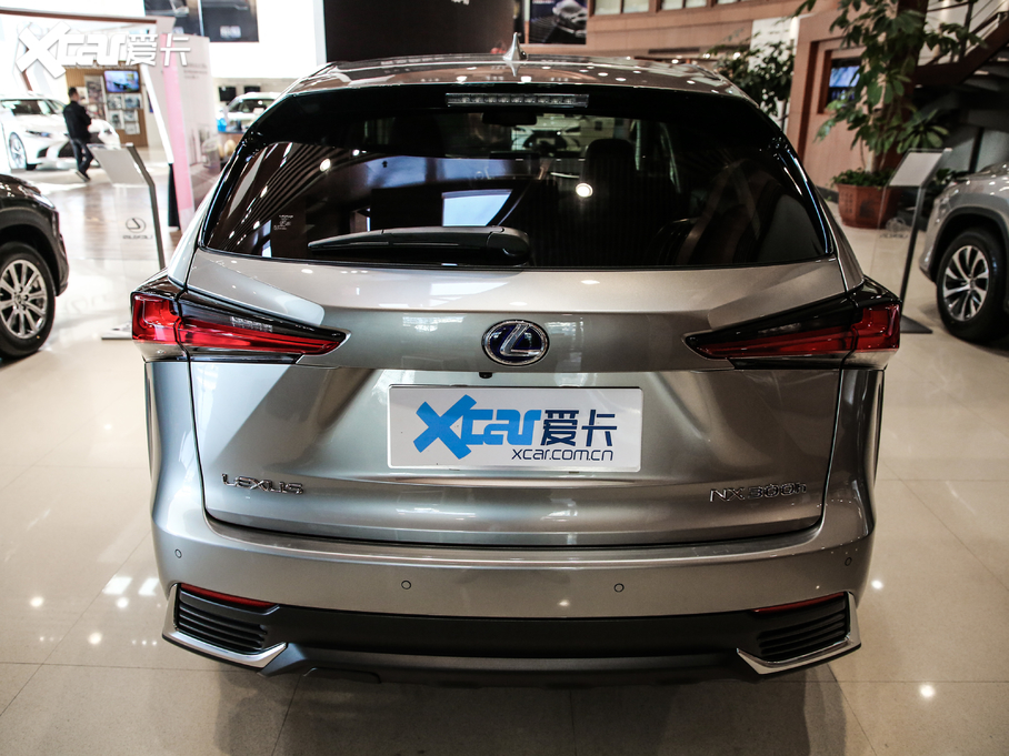 2020׿_˹NX 300h h° ȫ(q) VI