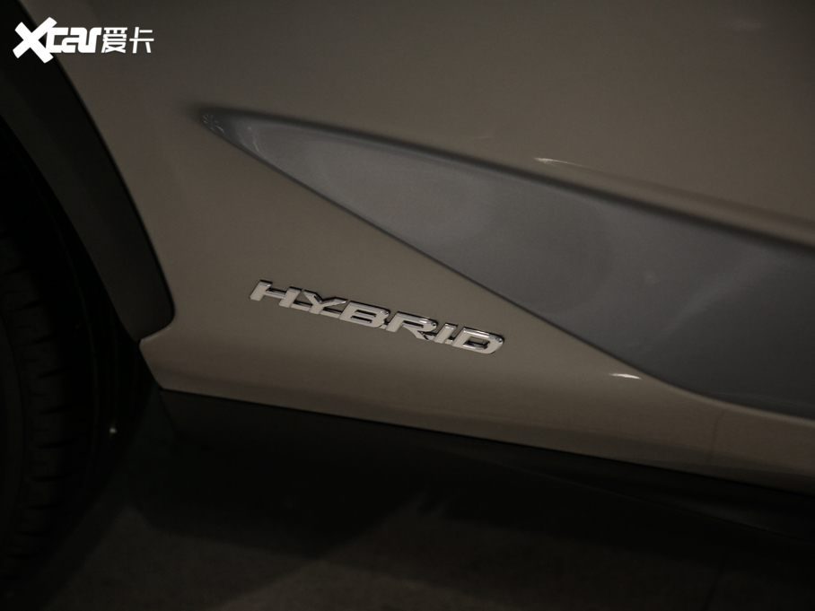 2020׿_˹NX 300h h° ȫ VI