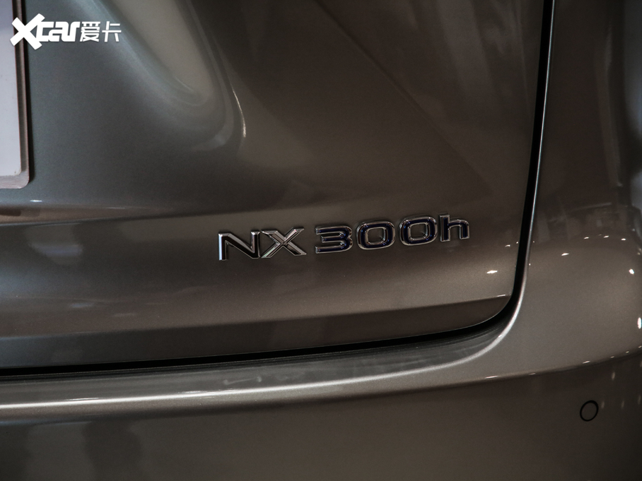 2020׿_˹NX 300h h° ȫ(q) VI