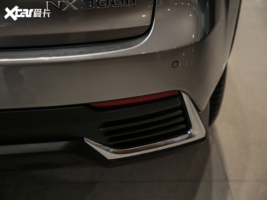 2020׿_˹NX 300h h° ȫ(q) (gu)VI