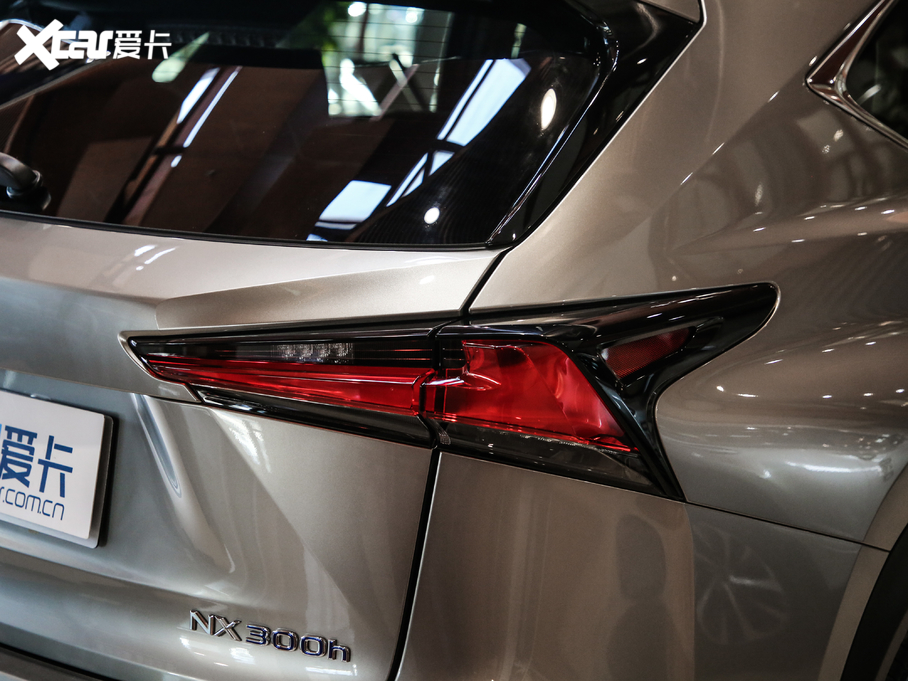 2020׿_˹NX 300h h° ȫ VI