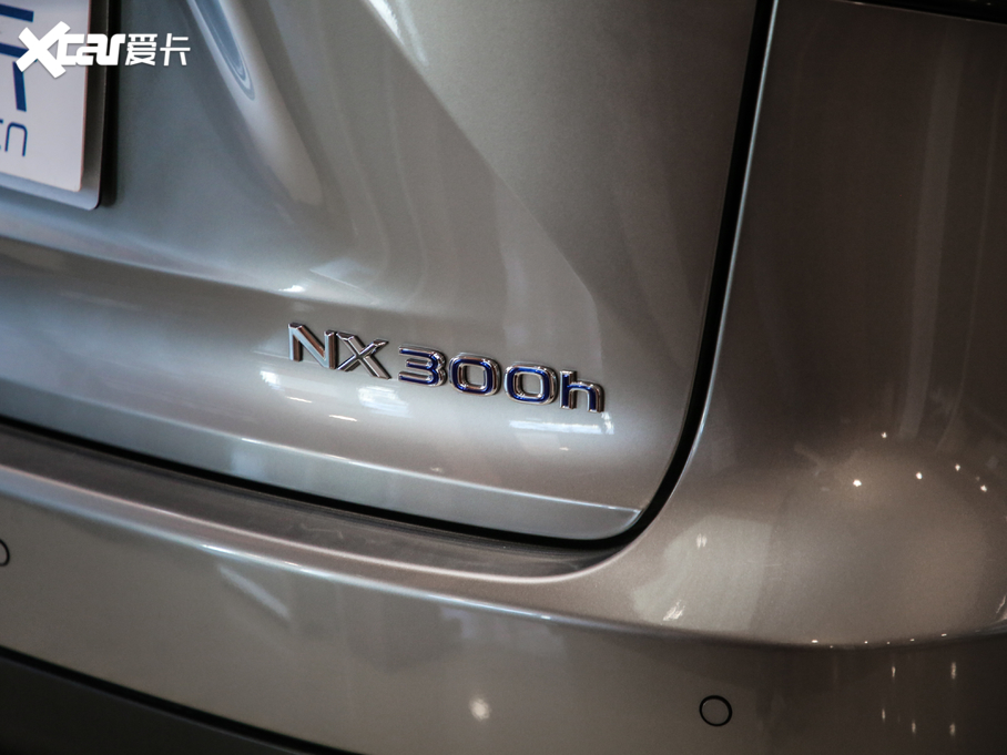 2020׿_˹NX 300h h° ȫ VI