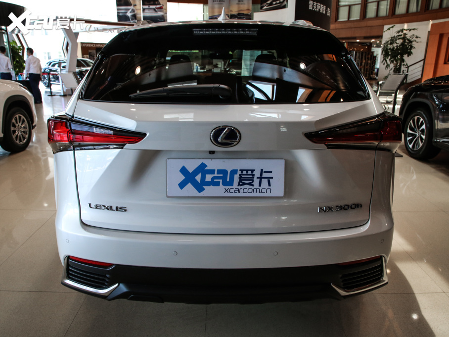 2020׿_˹NX 300h ǰ hԽ VI