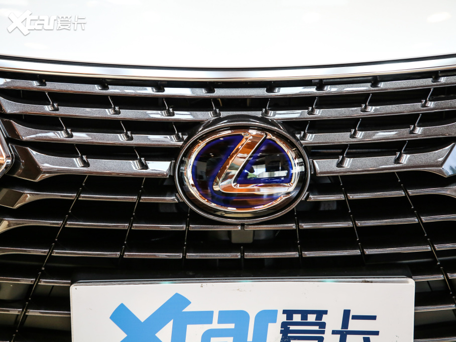 2020׿_˹NX 300h ǰ(q) hԽ (gu)VI