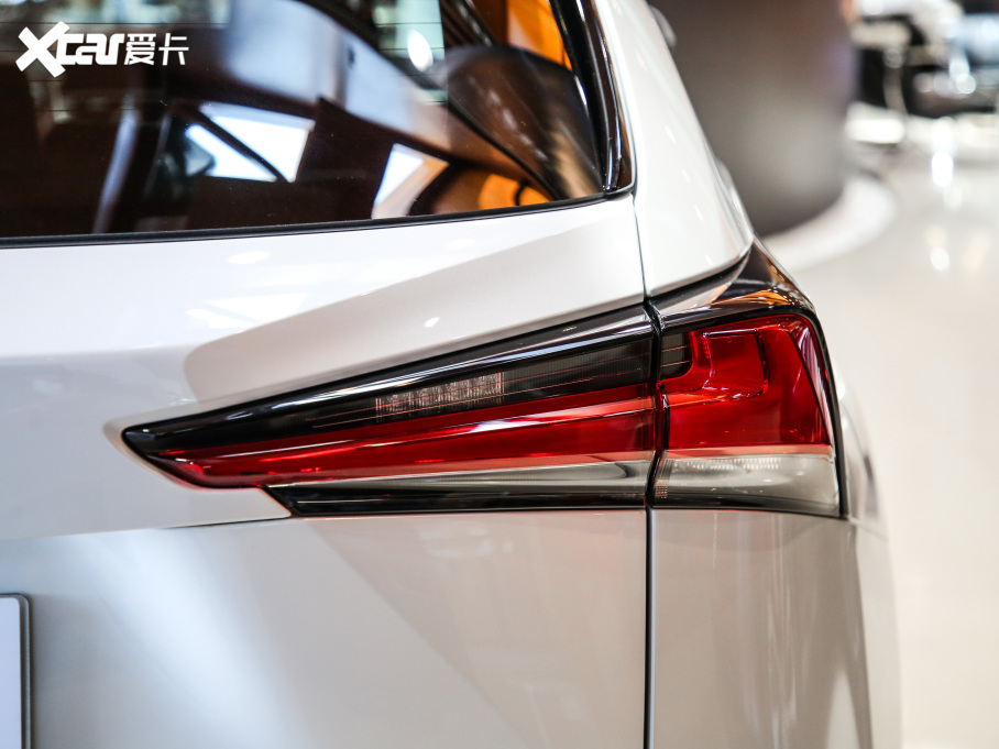 2020׿_˹NX 300h ǰ(q) hԽ (gu)VI