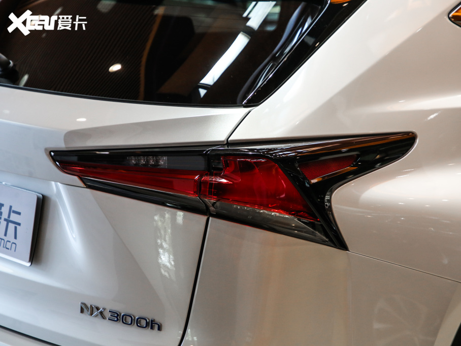 2020׿_˹NX 300h ǰ hԽ VI