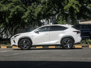 2020300h h° ȫ(q) VI (c)