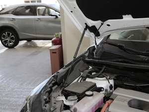 2020300h h° ȫ(q) VI 