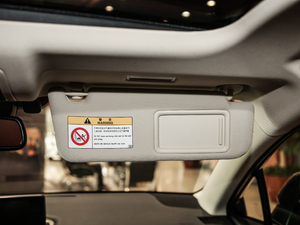 2020300h h° ȫ VI g