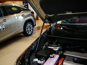 2020300h h° ȫ(q) VI 