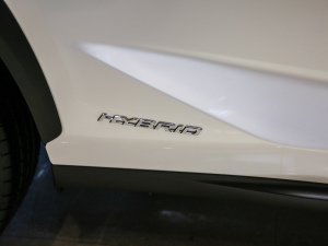 2020300h ǰ(q) hԽ (gu)VI (x)(ji)^