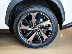 2020300h ǰ(q) hԽ (gu)VI (x)(ji)^