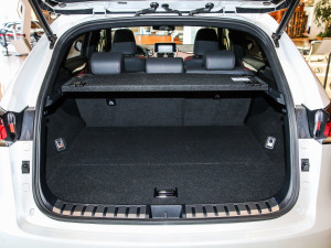 2020300h ǰ hԽ VI g