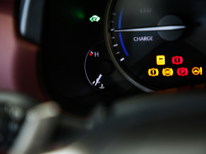 2020300h ǰ(q) hԽ VI п؅^(q)