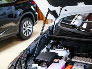 2020300h ǰ(q) hԽ VI 