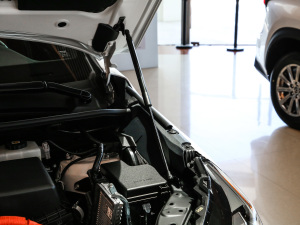 2020300h ǰ(q) hԽ VI 