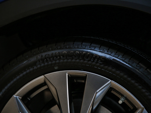 2020200 F SPORT ݆̥Ʒ