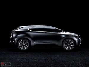 2008���׿��_˹LF-Xh ���w���^