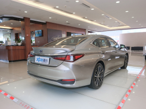 2021款300h 尊享版 右后45度