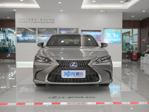 2021款300h 尊享版 正前