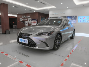 2021款300h 尊享版 左前45度