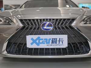 2021款300h 尊享版 中网