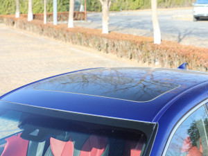 2021款300h F SPORT 车顶