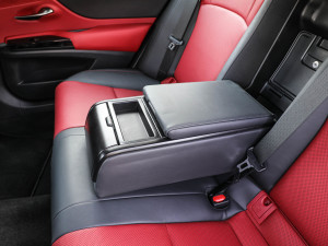 2021款300h F SPORT 后排中央扶手