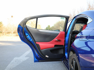 2021款300h F SPORT 左后车门