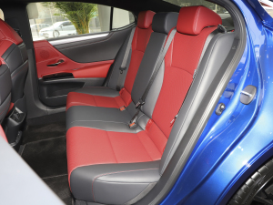 2021款260 F SPORT 后排座椅