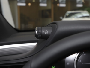 2021260 F SPORT п؅^