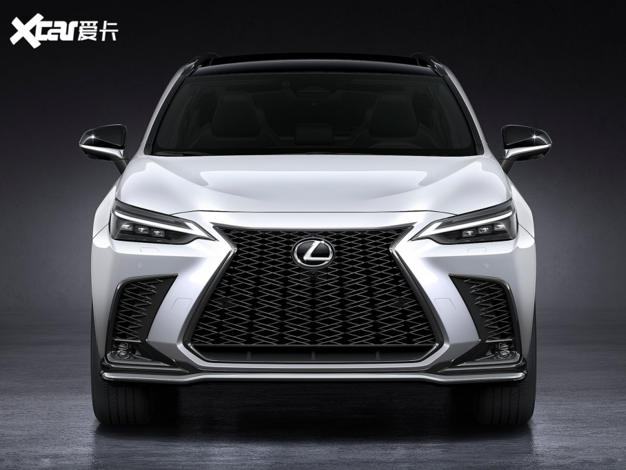 2022׿_˹NX 350 F SPORT AWD