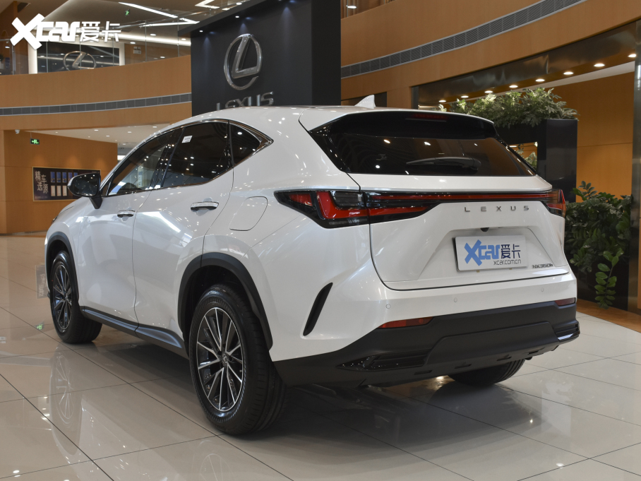 2022׿_˹NX 350h ǰ (chung)