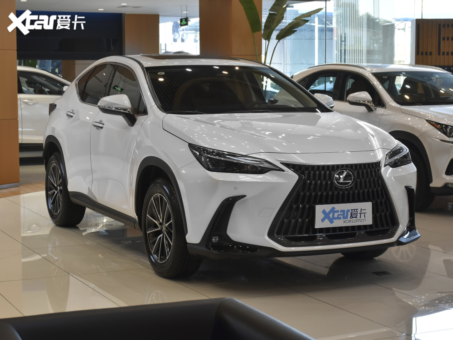 2022׿_˹NX 350h ǰ(q) (chung)