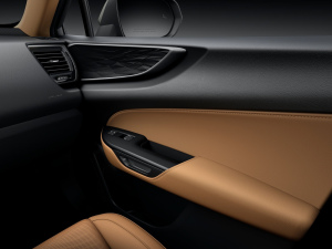 2022350h ȫ F SPORT g