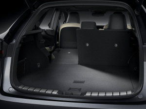 2022350h ȫ F SPORT g