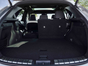 2022350h ȫ F SPORT g