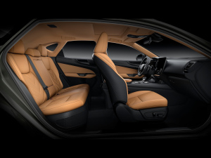 2022350h ȫ F SPORT g